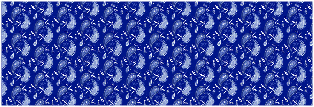 Zeta RB Paisley Scarf