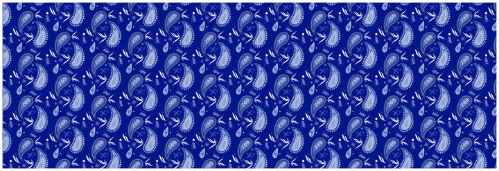 Zeta RB Paisley Scarf