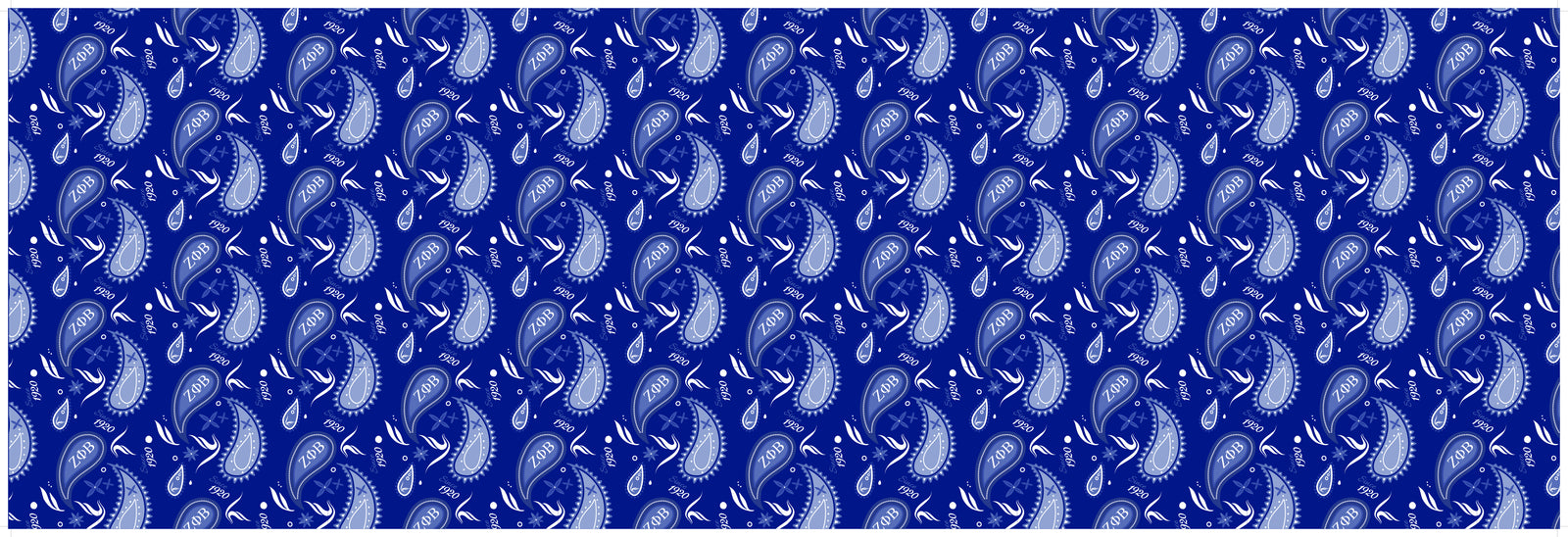 Zeta RB Paisley Scarf